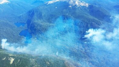 Photo of Fuego feroz: casi 2800 ha arrasadas en el Parque Nacional Nahuel Huapi y hay un nuevo incendio forestal en Neuquén