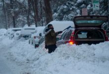 Photo of Cómo seguirá la nieve en Nueva Jersey durante los próximos días tras ola de frío en EE.UU.