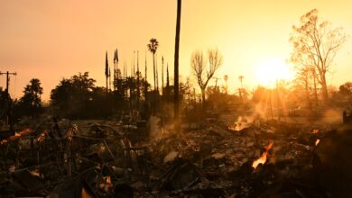 Photo of Cómo siguen los incendios en California, hoy: se espera que el fuego empiece a ceder en Los Ángeles