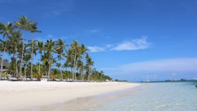 Photo of Tragedia en Punta Cana: hallan los cuerpos de cuatro turistas que habían desaparecido en el mar