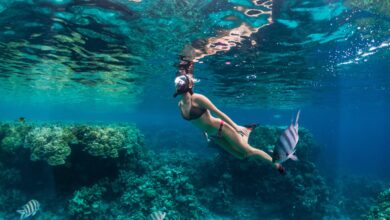 Photo of El destino con playas soñadas y uno de los arrecifes de coral más impactantes del mundo