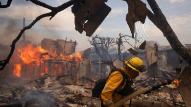 Photo of Cómo hacer para colaborar con los damnificados por los incendios en California: los canales habilitados