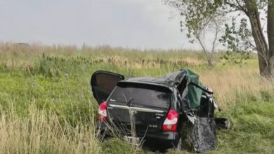 Photo of Ruta 11: un auto despistó, impactó contra un árbol y por el golpe murieron una mujer y dos niñas