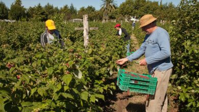 Photo of Dieron cierre oficial a un fideicomiso de apoyo a la agricultura familiar