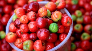 Photo of La fruta poco conocida, rica en vitamina C,  que evita el envejecimiento prematuro