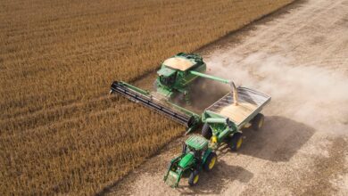 Photo of Opinión. Si las políticas están a la altura, en 2025 la agroindustria y la bioeconomía explotarán