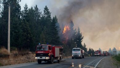 Photo of Incendios en El Bolsón: el gobernador comunicó que un hombre murió en Mallín Ahogado