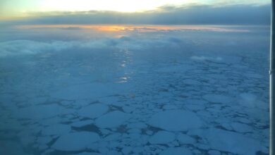 Photo of Encontraron los restos del avión que había desaparecido en Alaska: los 10 pasajeros murieron