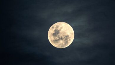 Photo of A qué hora sale la “Luna de Nieve” y cuáles son los mejores lugares para verla en EE.UU.