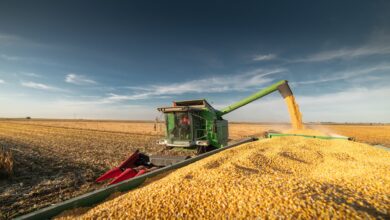 Photo of Opinión: commodities agrícolas, un equilibrio delicado entre alimentación, economía y cambio climático