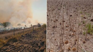 Photo of “Cruel”. Compran agua, sufren incendios y ven perder todo: el lugar donde la sequía es interminable