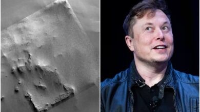 Photo of La estructura cuadrada que fotografió la NASA en Marte y que descolocó a Elon Musk: “Deberíamos enviar astronautas”