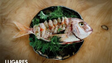 Photo of Cocina de mar: Las novedades de esta temporada en Mar del Plata