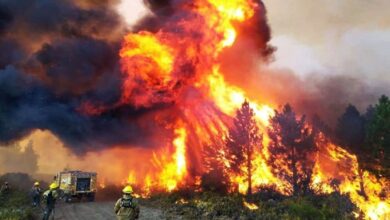 Photo of El nuevo subsecretario de Ambiente aseguró que el Gobierno no actuó bien en la prevención de los incendios