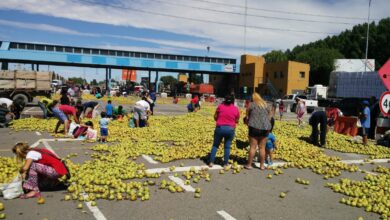 Photo of “Se cae a pedazos”: el abandono de chacras y el fantasma de una desaparición acechan a uno de los mayores valles productivos del mundo