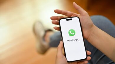 Photo of Así se encuentra la papelera de WhatsApp con conversaciones y archivos