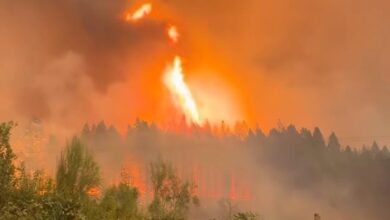 Photo of Patagonia al rojo vivo. Se reactivó un incendio forestal y piden extremar las precauciones