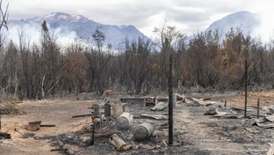 Photo of Incendios en el sur: tragedias evitables