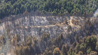 Photo of Incendios en El Bolsón: liberaron a dos de los detenidos y queda uno solo imputado