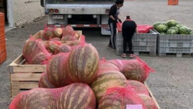 Photo of “El Messi de la sandía”: quién es el productor al que escuchó Federico Sturzenegger para ponerle fin a una insólita regulación