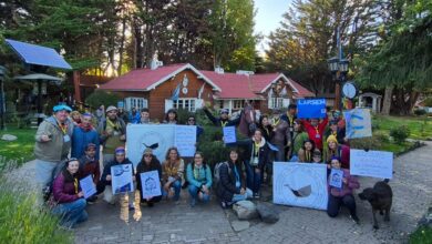 Photo of Nuevos reclamos: las razones detrás de las protestas de los guías de turismo contra una decisión de Parques Nacionales