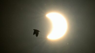 Photo of Habrá dos eclipses en marzo y uno se verá desde la Argentina: a qué hora y cuándo será