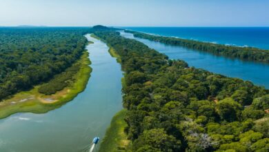 Photo of “La Venecia costarricence”, uno de los destinos más inesperados de Centroamérica