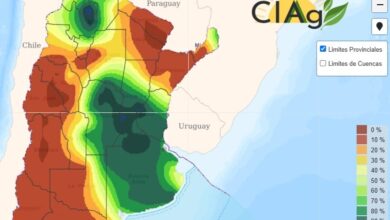 Photo of “Lluvias fuertes”: un especialista en clima dio un pronóstico categórico sobre lo que podría pasar con El Niño