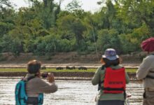 Photo of El rewilding en la Argentina: una respuesta proactiva para terminar con la degradación ambiental