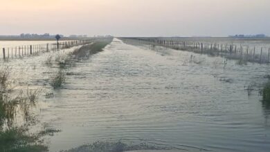 Photo of Inundaciones: preocupación en una región bonaerense tras la caída de 400 milímetros