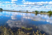 Photo of “Explotó todo”: la odisea que se vive en tres partidos bonaerenses con más de 240.000 hectáreas bajo el agua