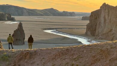 Photo of Viaje a la región patagónica que deslumbró a Charles Darwin por los paisajes y la fauna