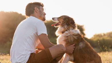 Photo of Los mejores e impensados consejos para lograr que tu perro sea feliz