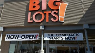Photo of Big Lots regresa a Carolina del Norte con una decena de tiendas y ya hay sensación en varios condados