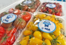 Photo of “RGA Alimentos”: del punto de ventas a la mesa de los riograndenses