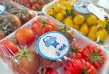 Photo of RGA Alimentos expande la soberanía alimentaria en la provincia