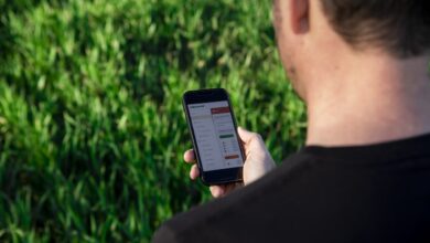 Photo of Herramientas digitales o digitalización: el dilema de la transformación