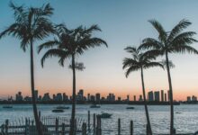 Photo of Ni inglés, ni español: este es el “nuevo lenguaje” que nació en Florida con la inmigración