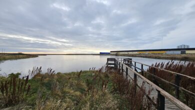 Photo of El Municipio recuerda que la Laguna de los Patos no está habilitada para actividades invernales