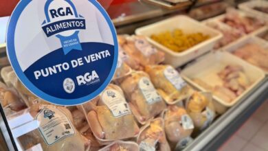 Photo of Río Grande fortalece su producción local y consolida nuevas alternativas productivas