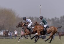 Photo of El cuidado de los caballos para un polo cada vez mejor