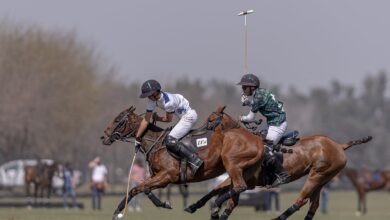 Photo of El cuidado de los caballos para un polo cada vez mejor