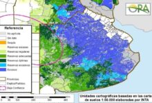 Photo of Vienen más lluvias: un informe del Gobierno revela que la mitad de la provincia de Buenos Aires está con excesos de agua