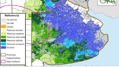 Photo of Vienen más lluvias: un informe del Gobierno revela que la mitad de la provincia de Buenos Aires está con excesos de agua