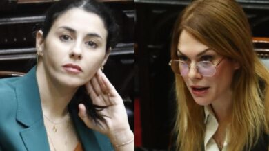 Photo of Marcela Pagano y Lilia Lemoine reavivaron la interna e intercambiaron acusaciones: “Mitómana, burra”