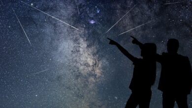 Photo of Lluvia de meteoros Eta Acuáridas en Nuevo México: Michelle Grisham recomienda los mejores parques para verla