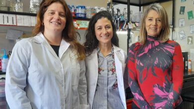 Photo of Podría ser la primera: científicas del Conicet lograron un avance clave hacia una vacuna contra la brucelosis porcina