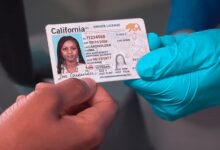 Photo of Es oficial: qué pasa si no se tramita la Real ID en Los Ángeles antes del 7 de mayo y cómo aplica para inmigrantes