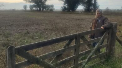 Photo of “Chorearon por 30 años”: el fuerte mensaje de una productora porque no se terminaron obras contra las inundaciones