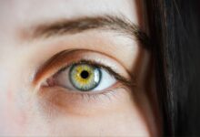 Photo of Las 3 vitaminas que son fundamentales para mantener los ojos sanos, según expertos